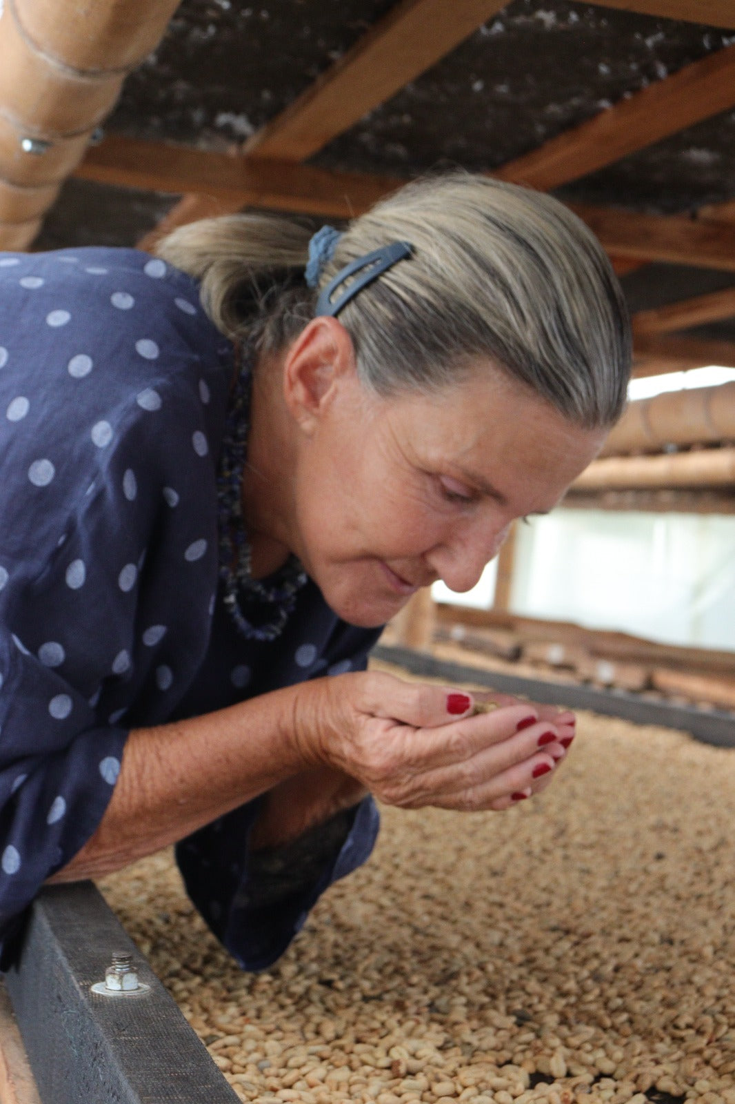 Luz Helena Salazar, Colombia (250gm) - Apothecary Roasting